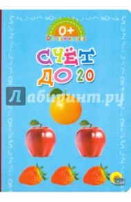 Обо всем на свете. Счет до 20