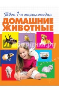 Домашние животные / Смирнова Александра Андриановна