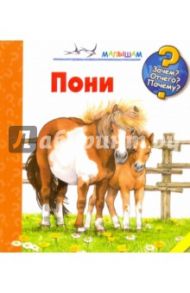Пони / Росс Теа