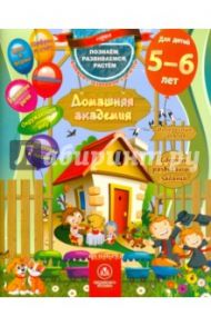 Домашняя академия. Сборник развивающих заданий. Для детей 5-6 лет / Ищук Е. С.