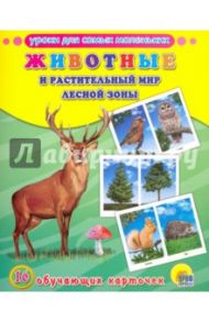 Животные и растительный мир лесной зоны