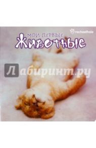 Мои первые животные