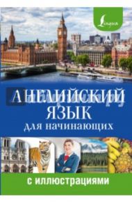 Английский язык для начинающих с иллюстрациями / Комнина Анна Алексеевна