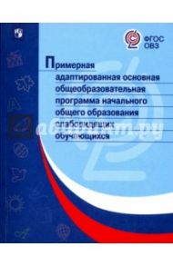 Примерная адаптированная основная программа НОО слабовидящих обучающихся. ФГОС ОВЗ