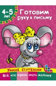 Готовим руку к письму / Ткаченко Наталия Александровна, Тумановская Мария Петровна