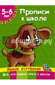 Прописи к школе / Ткаченко Наталия Александровна, Тумановская Мария Петровна