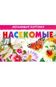 Карточки "Насекомые"