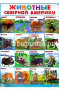 Плакат "Животные Северной Америки" (550х770)