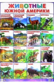 Плакат "Животные Южной Америки" (550х770)