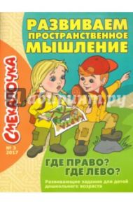 Смекалочка №3. Развиваем пространственное мышление. Где право? Где лево?