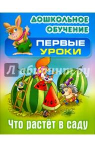 Что растет в саду / Лясковский Виктор Леонидович