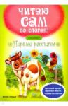 Первые рассказы. Ступенька 1 / Разумовская Юлия