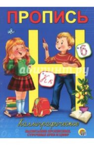 Каллиграфическое написание прописных, строчных букв и цифр (ПР-5736)