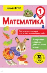 Математика. 1 класс. Все цепочки примеров для устных и письменных работ. ФГОС / Кулаков Алексей Алексеевич