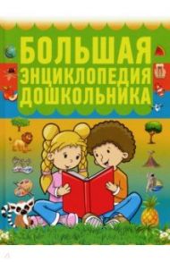 Большая энциклопедия дошкольника / Резько И. В.