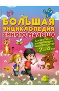 Большая энциклопедия умного малыша. Самая нужная развивающая книга для детей от 2 до 4 лет / Струк Александра Васильевна