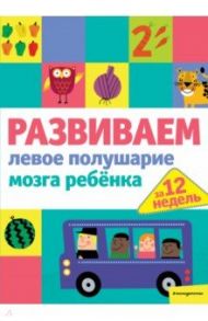 Развиваем левое полушарие мозга ребенка за 12 недель