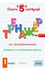 Тренажер по чистописанию. Букварный и послебукварный периоды. 1 класс. ФГОС / Пожилова Елена Олеговна