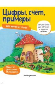 Цифры, счет, примеры. Для детей от 5 лет / Hunemann-Rottstegge Heike, Maier Ulrike, Karlsfeld