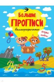 Прописи. Каллиграфические. Буквы и цифры