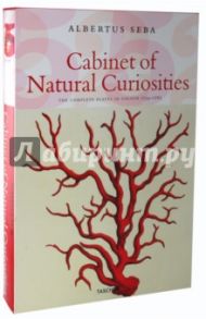 Cabinet of Natural Curiosities / Musch Irmgard, Rust Jes, Willmann Rainer