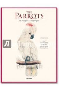 Edward Lear, The Parrots / Solinas Francesco, Willmann Rainer, Willmann Sophia