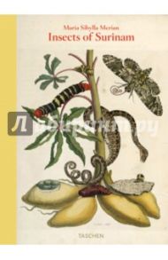 Maria Sibylla Merian, Insects of Surinam / Schmidt-Loske Katharina