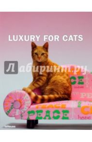 Luxury For Cats / Farameh Patrice