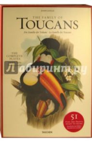 Family of Toucans / Gould John