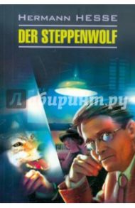 Der Steppenwolf / Hesse Hermann