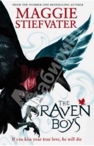 The Raven Boys / Stiefvater Maggie