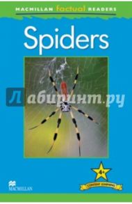 Mac Fact Read.  Spiders / Llewellyn Claire