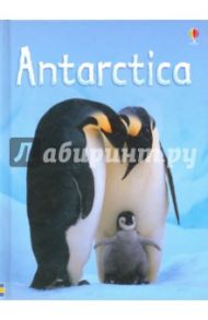 Antarctica / Bowman Lucy