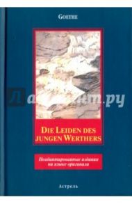 Die Leiden des jungen Werters / Goethe Johann Wolfgang