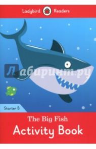 The Big Fish. Activity Book. Starter B / Degnan-Veness Coleen