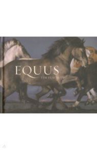 Equus / Flach Tim