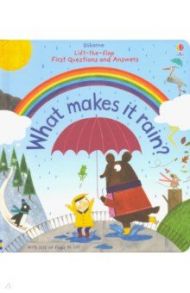 First Questions & Answers. What Makes it Rain? / Daynes Katie