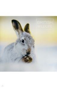 British Wildlife Photography Awards 9