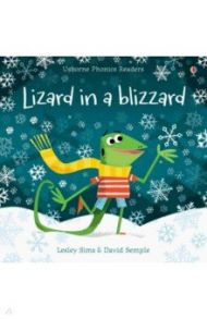 Lizard in a Blizzard / Sims Lesley