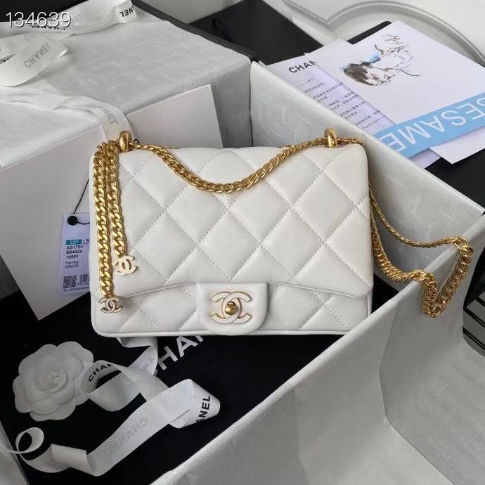 Chanel 22 cm