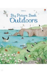 Big Picture Book. Outdoors / Lacey Minna