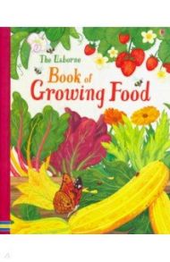 Usborne Book of Growing Food / Wheatley Abigail