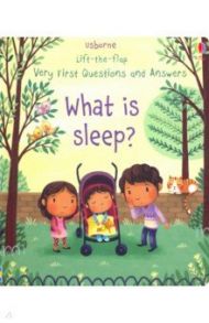 Very First Questions & Answers: What is Sleep? / Daynes Katie