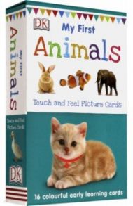 My First Animals Touch & Feel Picture Cards / Yorke Jane