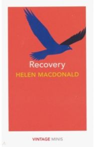 Recovery / Macdonald Helen