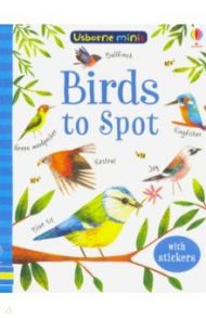 Birds to Spot / Smith Sam, Robson Kirsteen