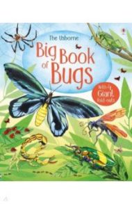 Big Book of Bugs / Bone Emily