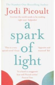 A Spark of Light / Picoult Jodi