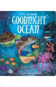 Goodnight Ocean (peep-through board book) / Davies Becky