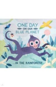 One Day On Our Blue Planet: In The Rainforest / Bailey Ella